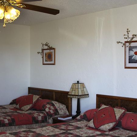 סידני Sleep For Less Motel מראה חיצוני תמונה