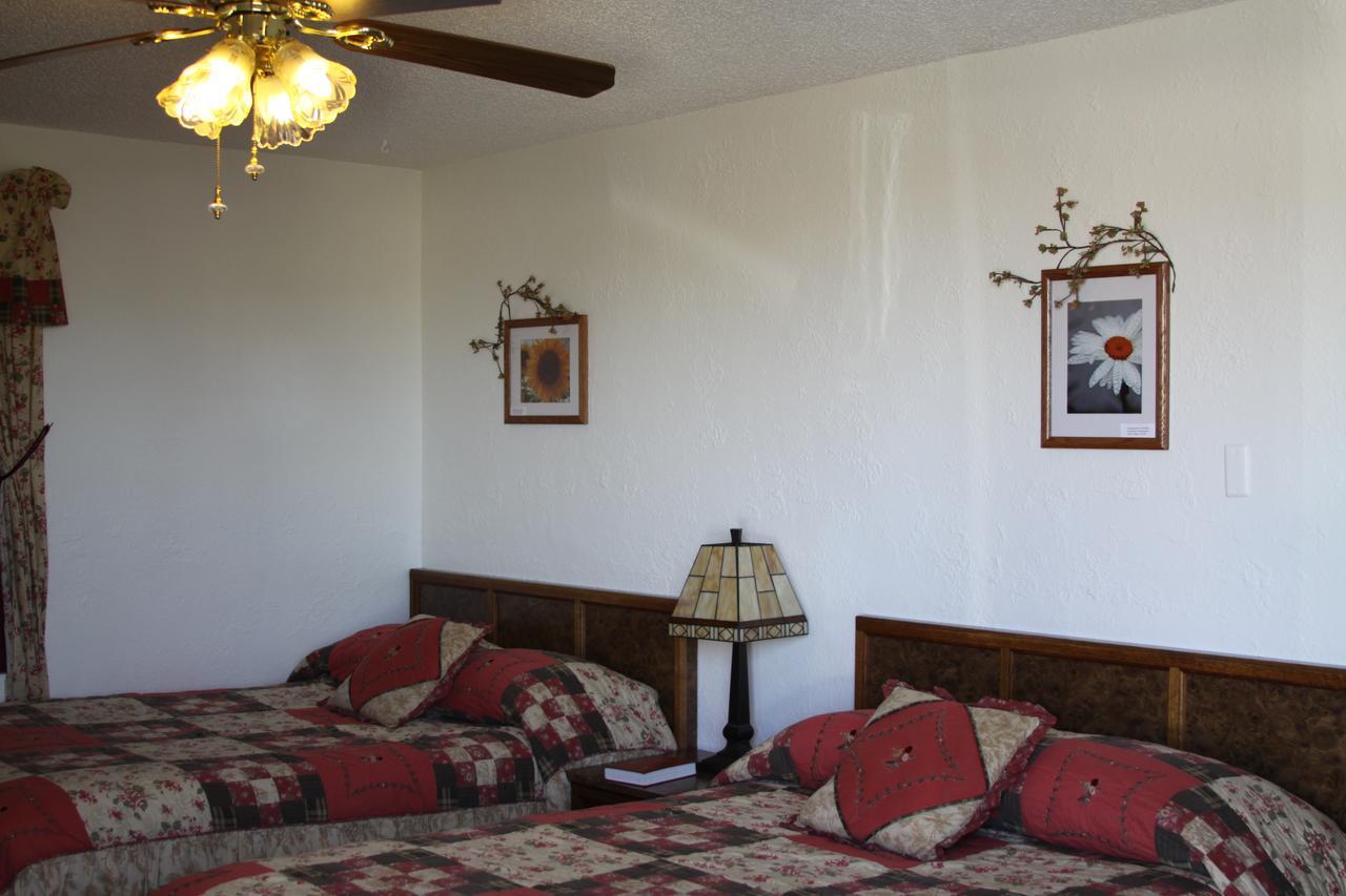 סידני Sleep For Less Motel מראה חיצוני תמונה